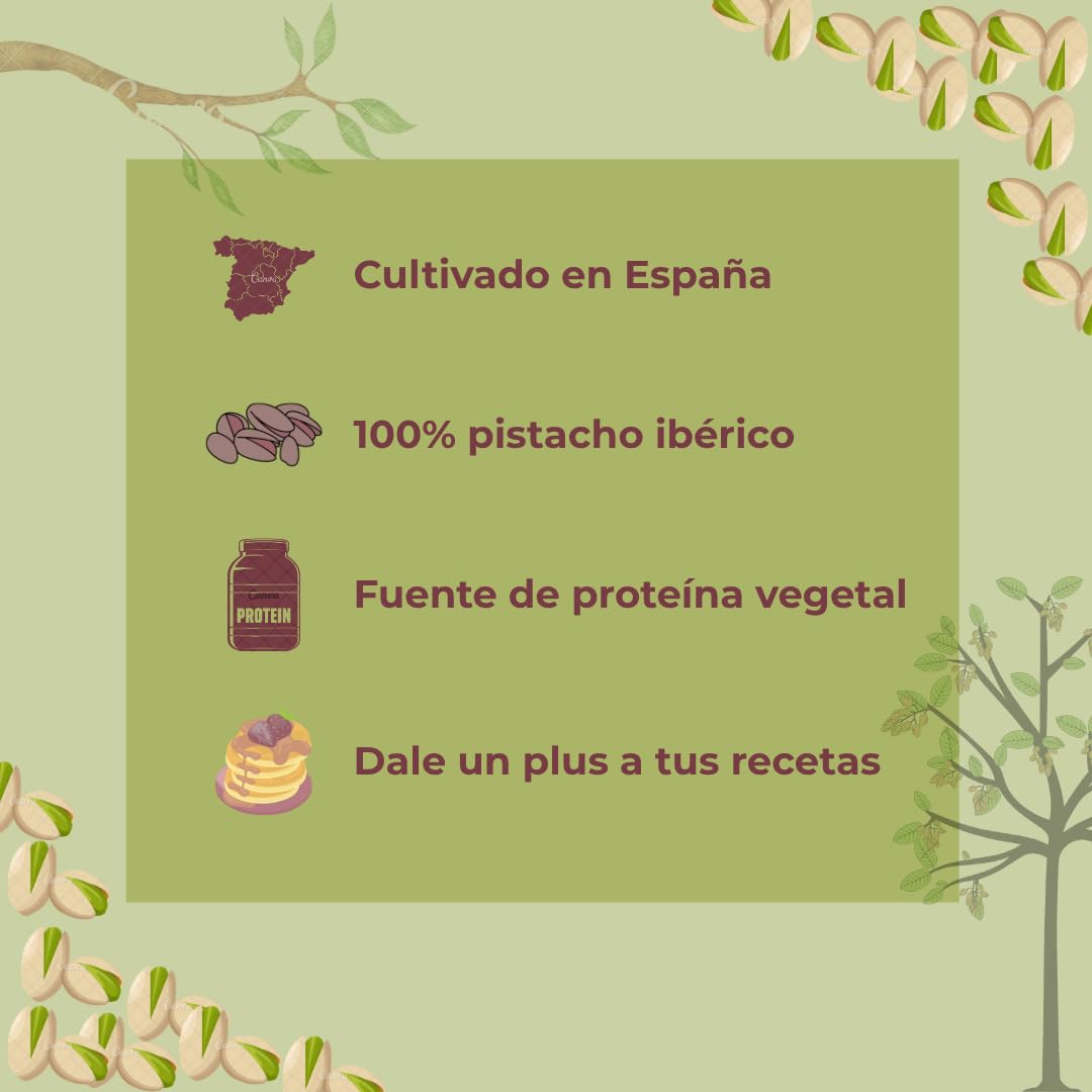 Granillo De Pistacho Ibérico Natural Crudo Gourmet 100% Pistacho Granulado Ideal Repostería Ensaladas Helados Recetas Veganas Decoración Postres Sin Gluten Proteína Saludable Snack (1 Kg)