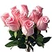 10pcs Real Touch Rose Simulated Fake Latex white/red/pink/yellow/champgne Roses 43cm for Wedding Party Artificial Decorative Flowers (pink)
