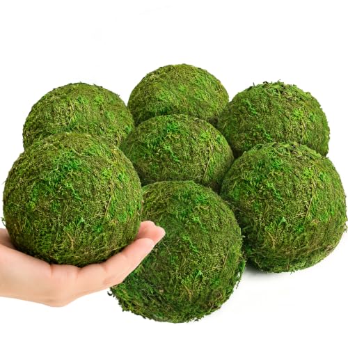 Moss Balls Decorative 3.5 8 Pcs Natural Green Bowl & Vase Fillers