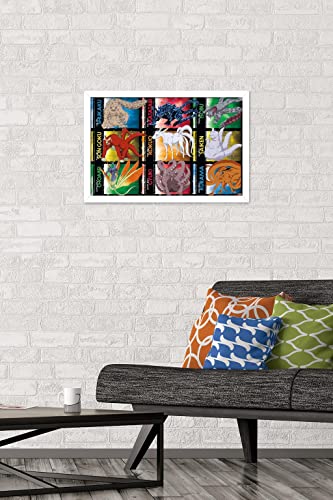 Poster Naruto Shippuden Biju Grid déco murale grand format 37x56cm