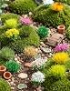 HFKPJRT 140 Pcs Static Grass Tufts & Miniature Flowers Cluster for Crafts, Diorama Supplies & Terrain Model Kit, Artificial Model Grass for Fairy Garden Accessories, Train Railroad Scenery #3