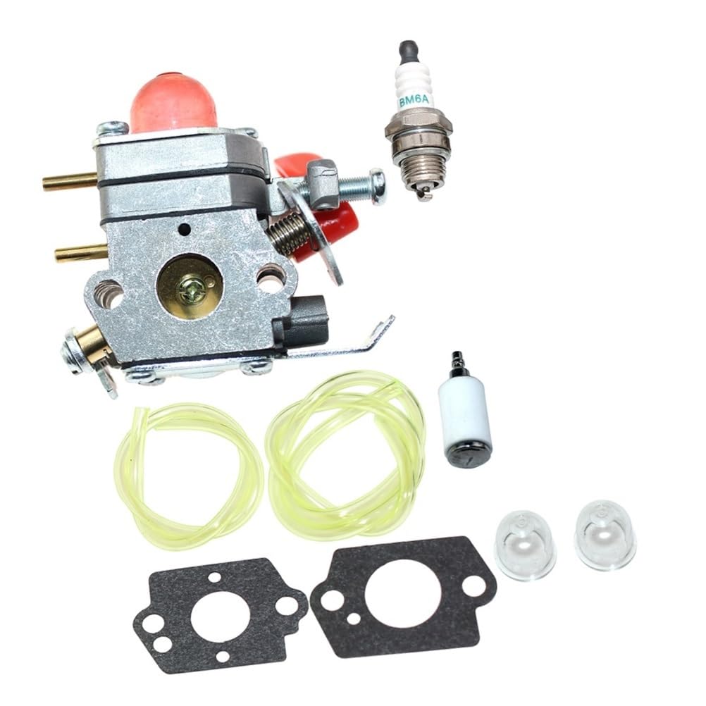 Carburateur MT250CLS pour entretien jardin et pelouse 944516561 thermique