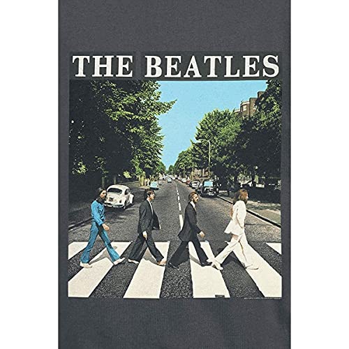 Amplified The Beatles-Abbey Road Maglietta, Grigio (Charcoal Cc), L Uomo - 3