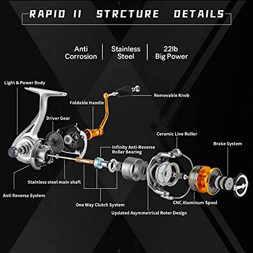 Seaknight RAPIDII Spinnrolle Salzwasser 6.2:1 4.7:1 Angelrolle Karpfen Anti Korrosions Angelrollen Meer 2000H 2500H… – Bild 7