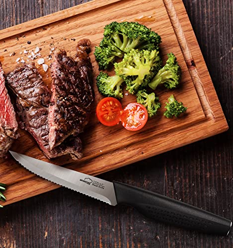 Amorston Steak Knives Set Of 8, Stainless Steel Steak Knife Set, Serrated Steak Knives Dishwasher Safe, Silver #TOP6