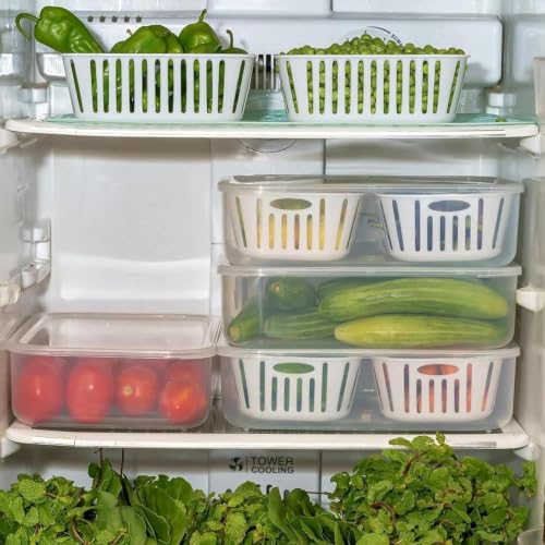 Image of TASMAX Fridge Storage Boxes, Plastic Fridge Containers, Fridge Accessories Items, (FRIDGE CONTAINER 2 GRID)