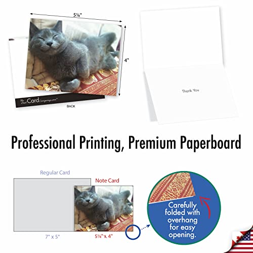 Image of The Best Card Company 10 Assorted Thank You Notes Bulk Box Set 4 x 5.12 Inch with Envelopes (10 Designs, 1 Each) Smitten Kittens M6485TYG