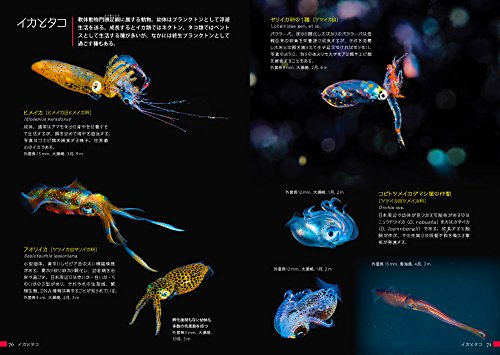 美しい海の浮遊生物図鑑 Japanese Books Science Nbsp And Nbsp Technology 生物 バイオテクノロジー 魚類学 Whenbuy Jchere Com