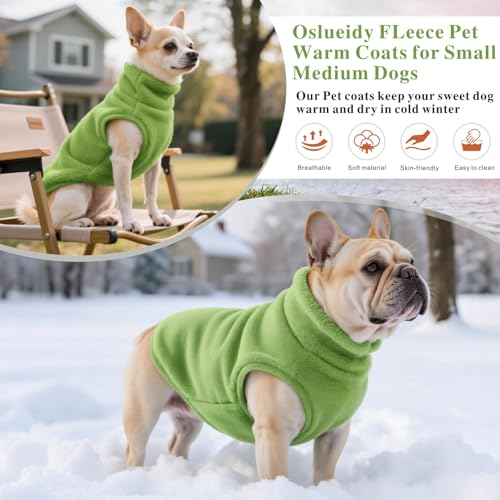 Oslueidy Hundemantel Fleece Hunde Jacken Hund warme Mäntel Winter Haustier Kleidung Hoodies Pullover Jumpsuit Hund Schnee Outfits Weste für kleine mittlere große Hunde XS-XXL (Grün, S)