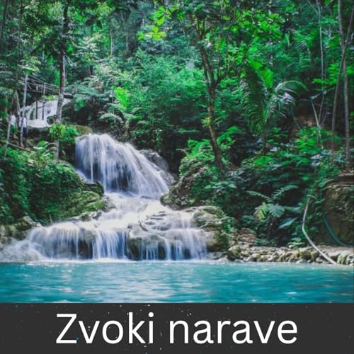 Zvoki narave Podcast Por International Ambient Sounds arte de portada