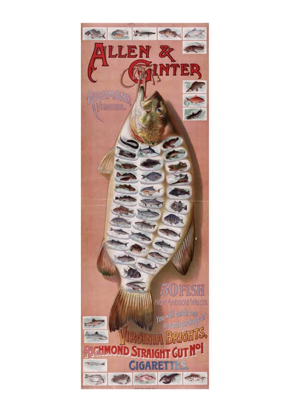 Affiche vintage Fish from American Waters Richmond Cigarettes cadre poster rétro poisson