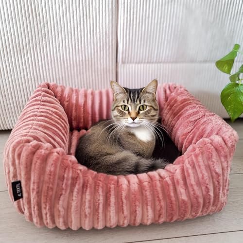 4L Textil Bella Plüsch-Hundebett Premium-LINE Kuscheliges Hundekörbchen aus Cord Katzenkorb Hundekorb für Welpen Hundebett flauschig Hundesofa kleine Hunde (Rosa, 60x40 cm)