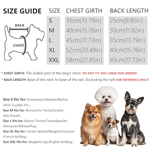 2 Stück/3 Stück Fleece Hundepullover für kleine Hunde, weicher Warmer Rollkragen Hunde Sweater Mantel, Haustier Welpe Katze Winterbekleidung (A-Grau Grün Blau, M)