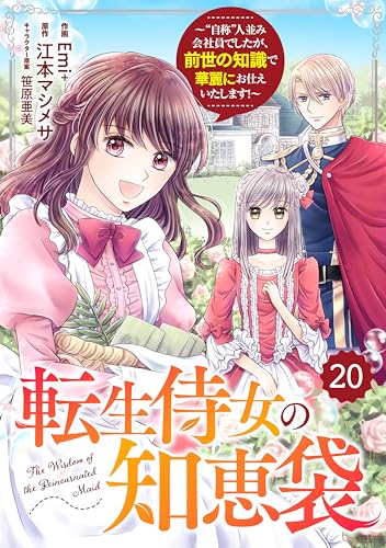 Berry’sFantasy転生侍女の知恵袋~“自称”人並み会社員でしたが、前世の知識で華麗にお仕えいたします!~20巻 (Berry's COMICS)