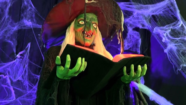 Amazon.com: Haunted Hill Farm Life-Size Talking Witch Holding