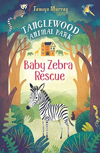 Baby Zebra Rescue: Baby Zebra Resue: 01 (Tanglewood Animal Park)