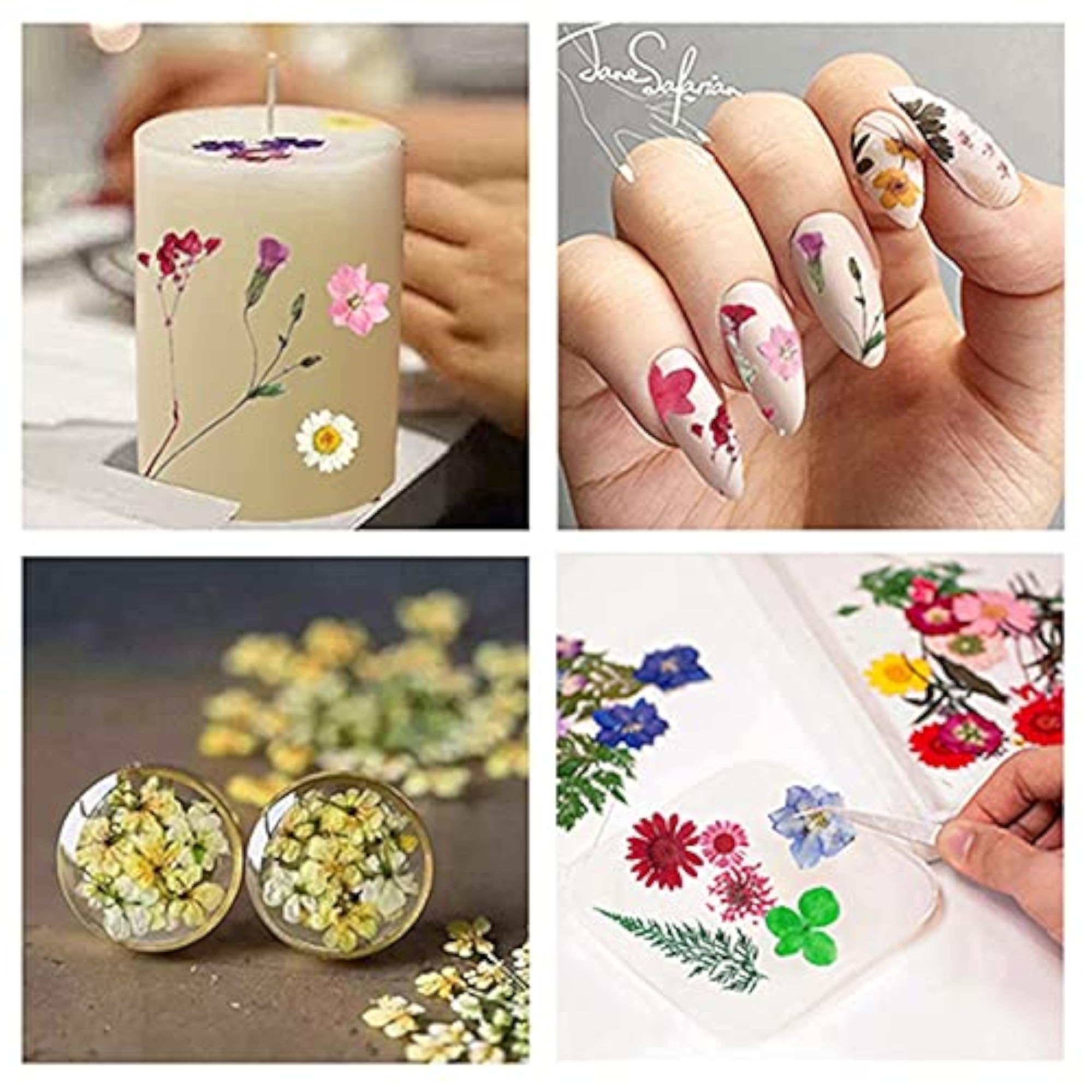 Colorful Assorted Handmade Nature Dry Flower Pressed Flower Bookmark