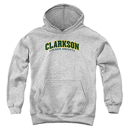 Clarkson University Official Est. Date Youth Kids Boy/Girls Pull-Over Hoodie Sweatshirt