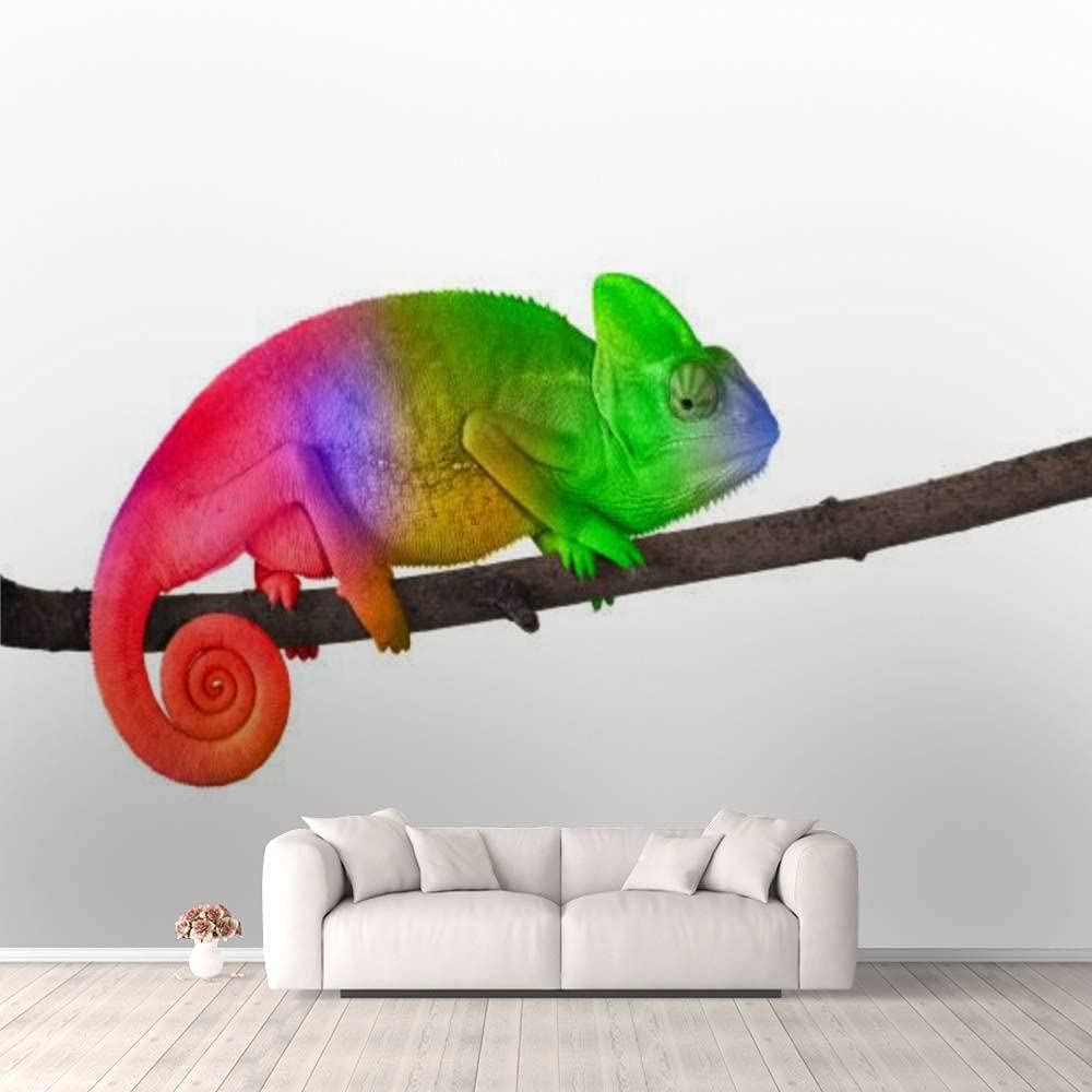 Colorful Chameleon Wallpaper