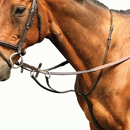 Equisential Leather Running Martingale Black Full