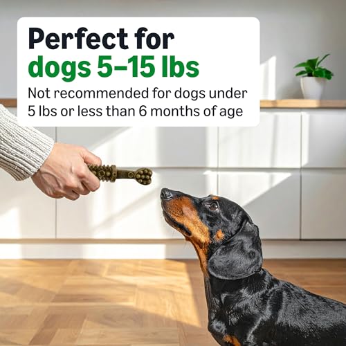 Image of Amazon Basics Dental Dog Treats to Help Clean Teeth & Freshen Breath - Tiny (5-15 lbs), Unflavored (Previously Wag)