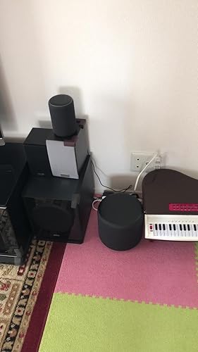 Amazon.co.jp: Echo Sub (エコーサブ) - Echoシリーズ用サブ