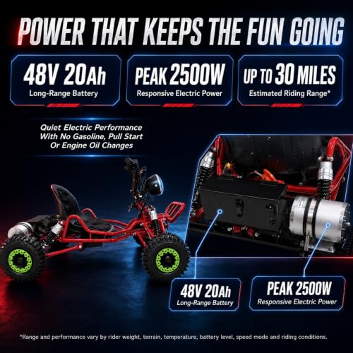 Zyliathor 48V 20Ah Long-Range Electric Go Kart
