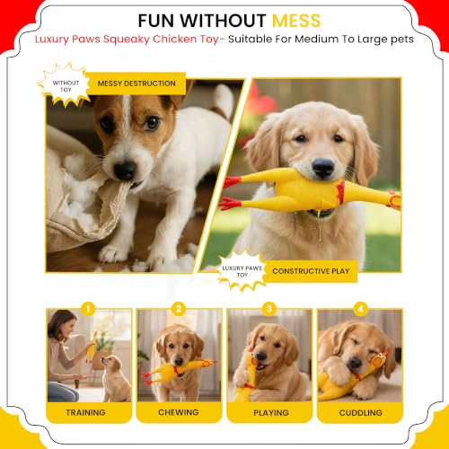 Image of Hen Chicken Squeaky Dog Toy - Large Pack of 1