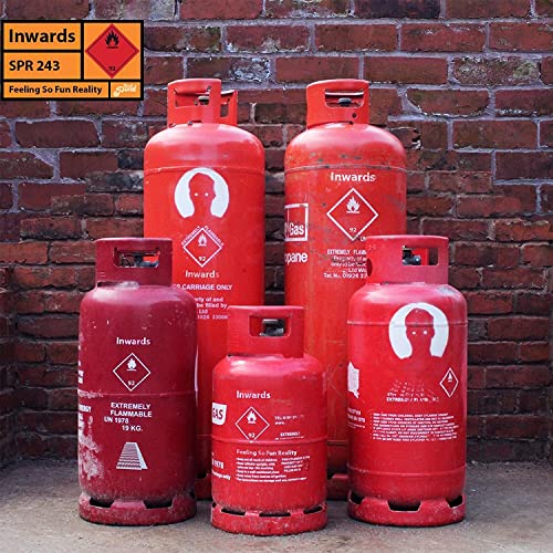 Feeling So Fun Reality