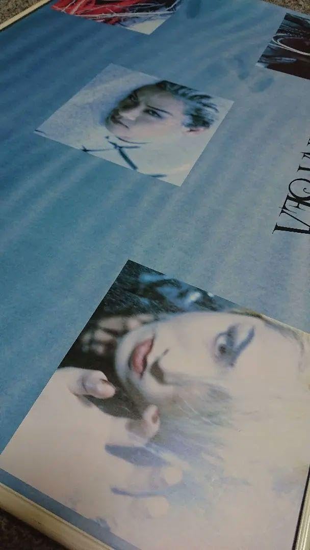 Amazon.co.jp: LUNA SEA アルバム EDEN ポスター ルナシー : ホビー