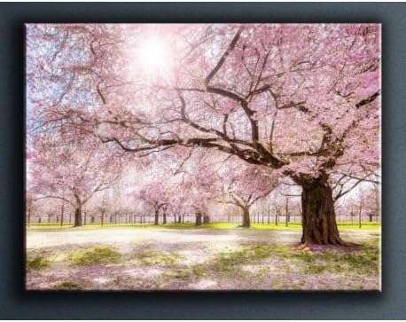 Deco Soon Cerisiers Sunrise In The Table