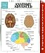 Anatomy Advanced