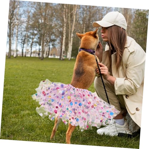 Supvox Hunde Tutu Kleid Mit Spitze Und Mesh Atmungsaktiv Verstellbar Für Kleine Und Mittelgroße Hunde Haustier Kostüm Für Geburtstag Hochzeit Und Party