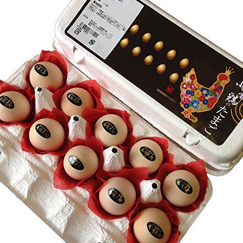 G{[h 10 G{{ 󏭉lh{̍G{ N[