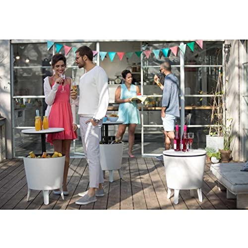 Keter Rack de gelo 125 x 84 x 49,5 cm 49,5 x 84,5 x 49,5 cm Bianco