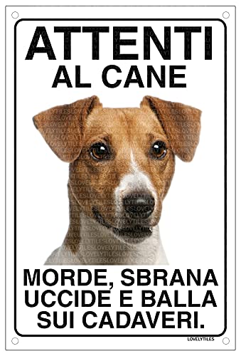 JACK RUSSELL Attenti per il cane ciuccio sano e curvo