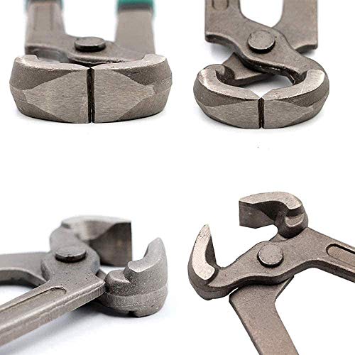 image for QHWJ Goat Hoof Trimmers, Multi-Purpose Nail Clippers for Goats Sheep P