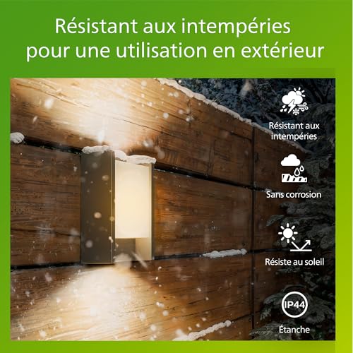 Applique Murale Extérieure LED Résistante Intempéries Philips Arbour 6W