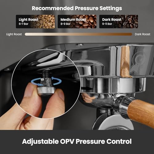 Breville Dual Boiler espresso machine