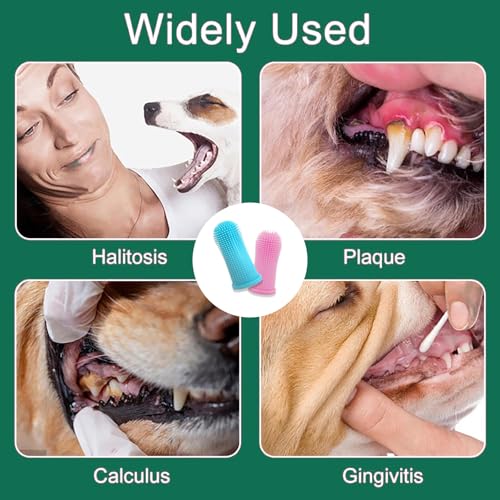 ElevaPulse Tablettengeber für Katzen und Hunde - 6er Set mit Pill Assist Katze, Medikamenten Spritze und Fingerzahnbürsten für Haustierpflege