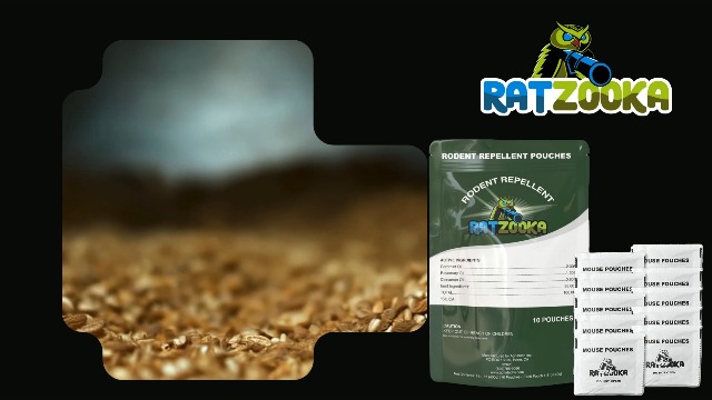 Amazon.com : RatZooka Extra-Strength Mouse Repellent Pouches with