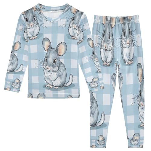 Vozoza Chinchilla Blue Pajama Sets Long Sleeve Top with Pants Cotton Soft Sleepwear 2 Piece Pjs Set Size 3T
