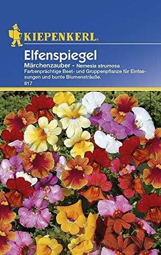 Kiepenkerl Elfenspiegelsamen Märchenzauber 817 für 75 Pflanzen - Farbenprächtige Beet- und Gruppenpflanze, Einjährige Gartenblumen, Blüten in Weiß, Orange, Rot, Gelb