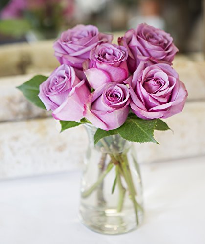 Kabloom Prime Overnight Delivery - Bouquet Of 6 Fresh Cut Purple Roses (Farm-Fresh, Long-Stem) With Vase #TOP1