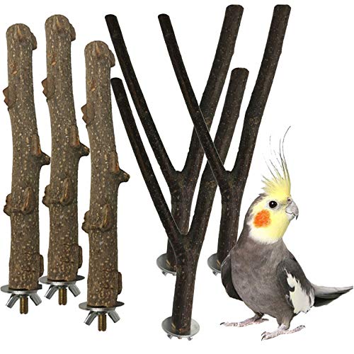 Top 10 Best Wood For Bird Perches Reviews & Buying Guide Katynel