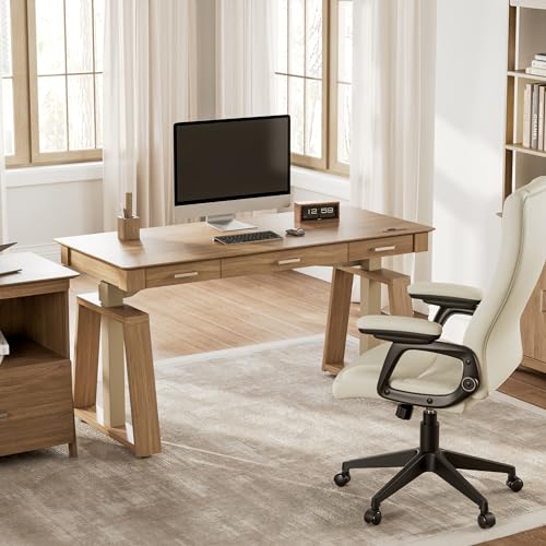 EUREKA ERGONOMIC Ark EL 60x26 Electric Standing Desk with 3 Drawers and Memory Controller for Home Office
