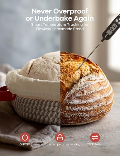 Save 34% on Ganiza Sourdough Starter Kit with Code GAGL1040101 - Image 4