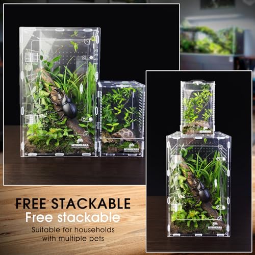 Mygiikaka CWMX00001-L Acrylic Jumping Spider Enclosure, Insect Terrarium, Bug Enclosure, Spider Cage, Jumping Spider Habitat, Praying Mantis Habitat, Arboreal Tarantula Enclosure thumb #7