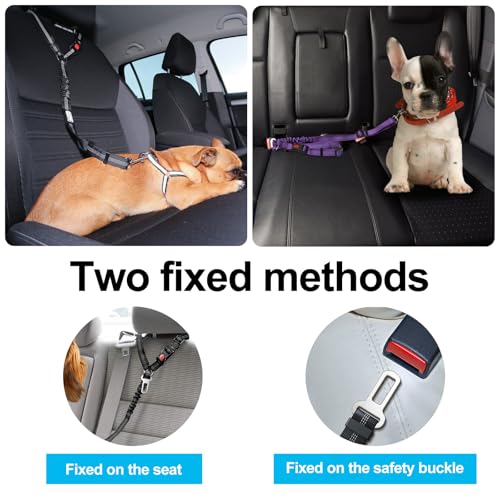2 Stück Verstellbarer Hundegurt fürs Auto, Sicherheitsgurt Hunde mit Ruckdämpfer Elastisch, Hunde Sicherheitsgurt Auto für Kleine Mittelgroße große Hunde und Alle Autotypen, Schwarz + Blau