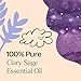 Plant Therapy Clary Sage Essential Oil 100% Pure, Undiluted, Natural Aromatherapy, Therapeutic Grade 10 mL (1/3 oz)